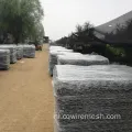 Weavon Gegalvaniseerde Gabion Basket voor het keermuurproject